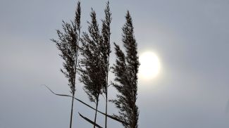 Фото из архива