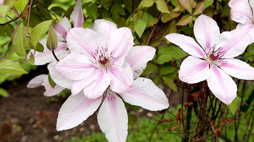 Фото из архива