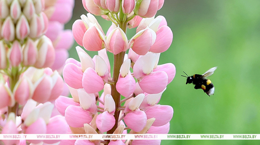 Фото из архива