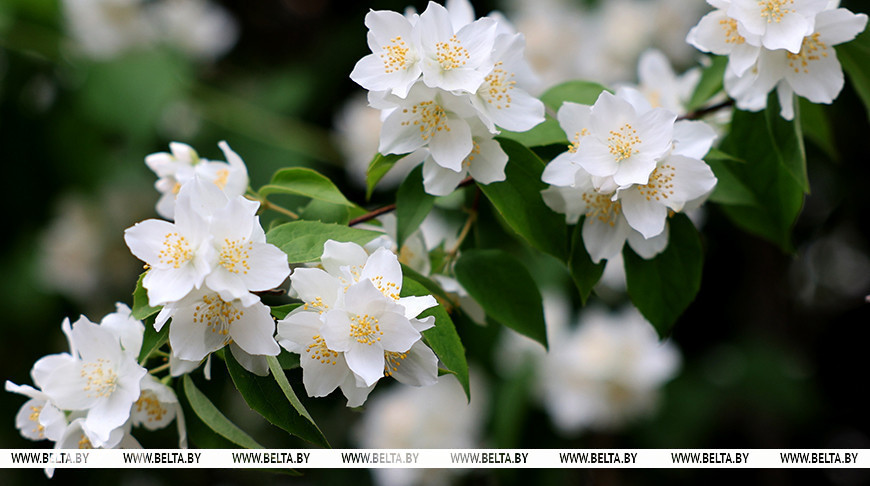 Фото из архива