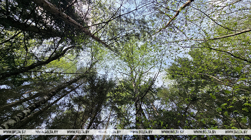 Фото из архива