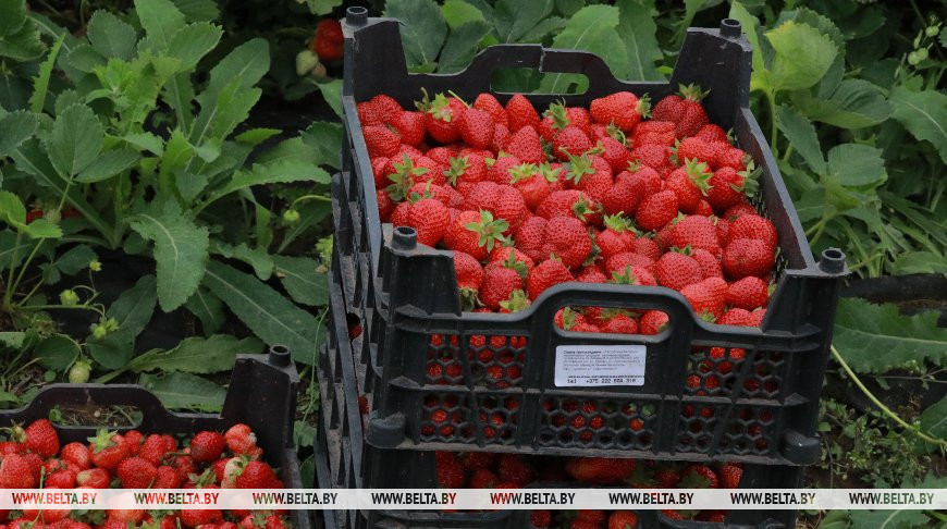 Фото из архива