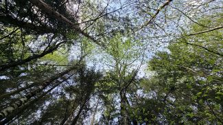 Фото из архива