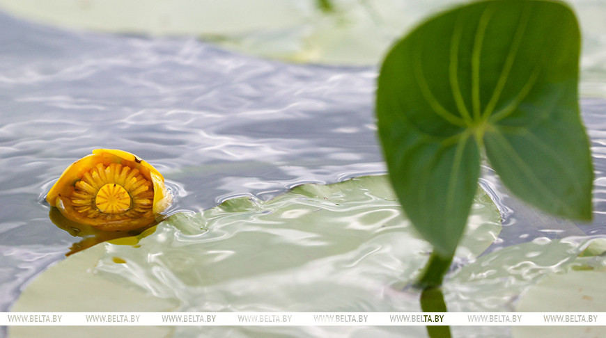 Фото из архива