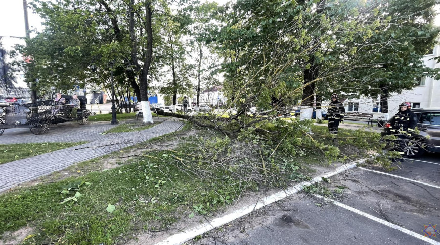 Скриншот видео МЧС