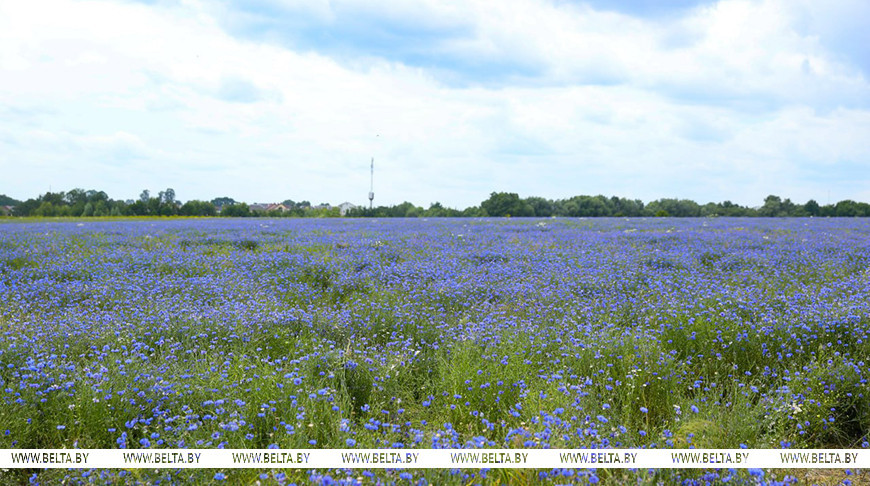 Фото из архива