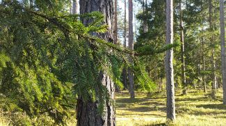 Фото из архива