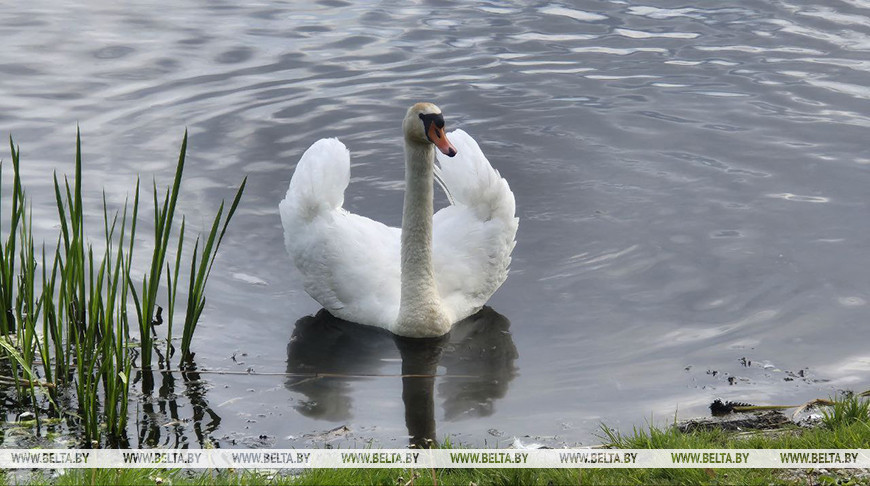 Фото из архива
