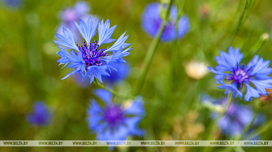 Фото из архива