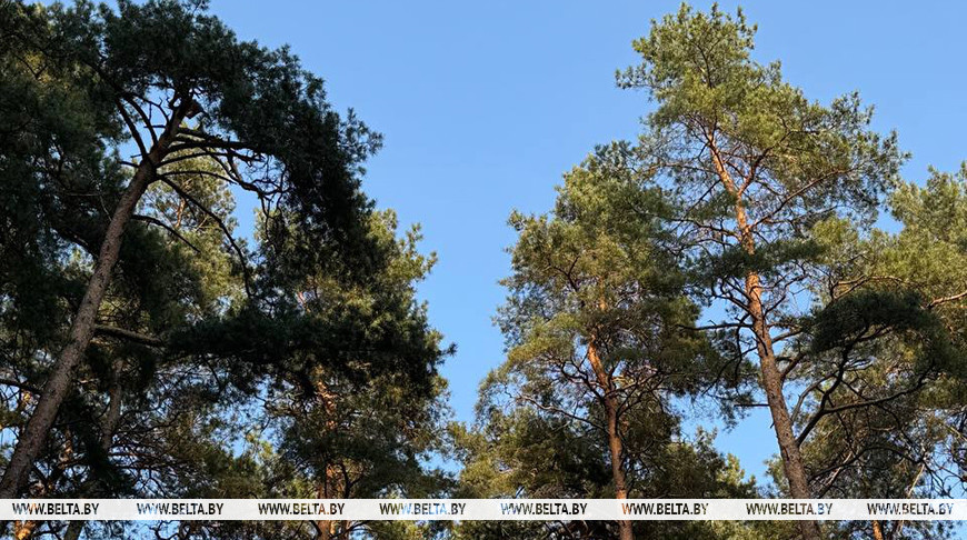 Фото из архива