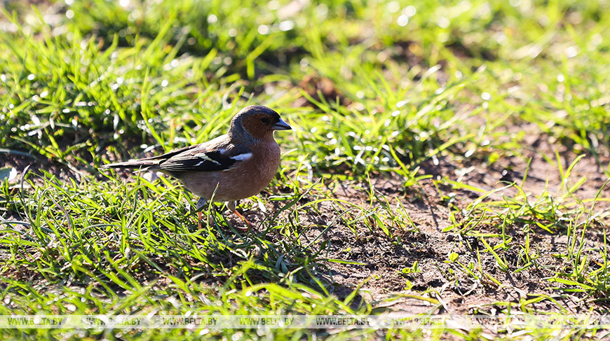 Фото из архива