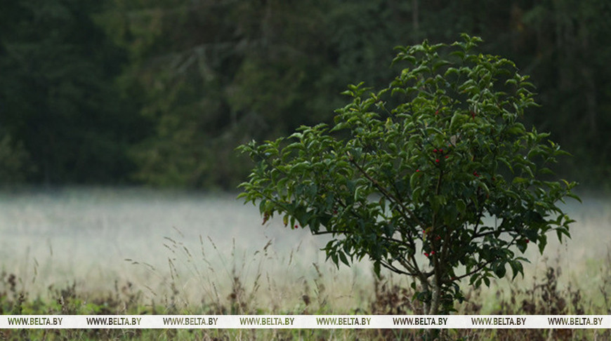 Фото из архива