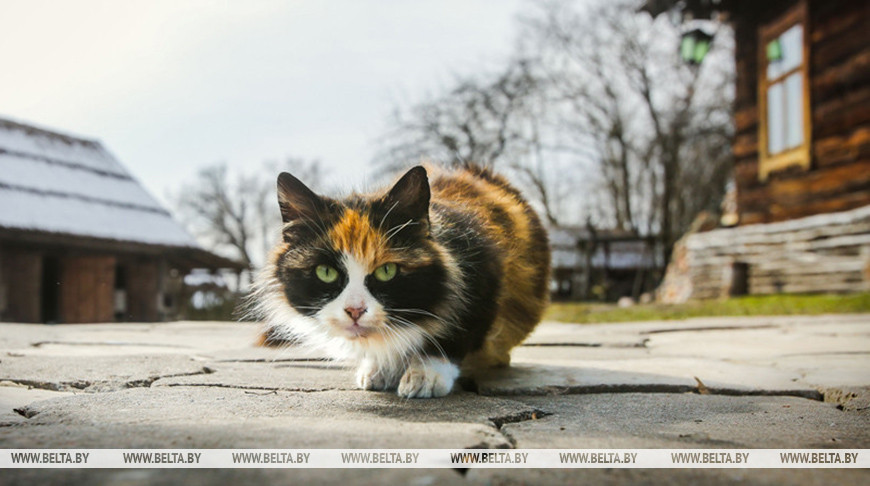 Фото из архива