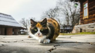 Фото из архива