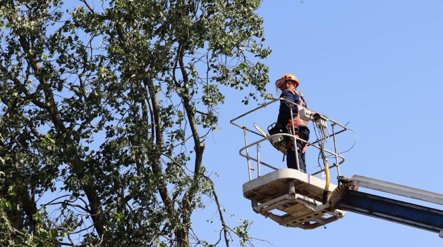 Фото ГПО "Белэнерго"