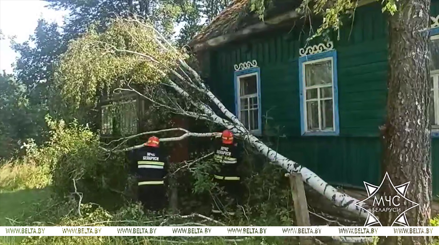 Скриншот видео МЧС