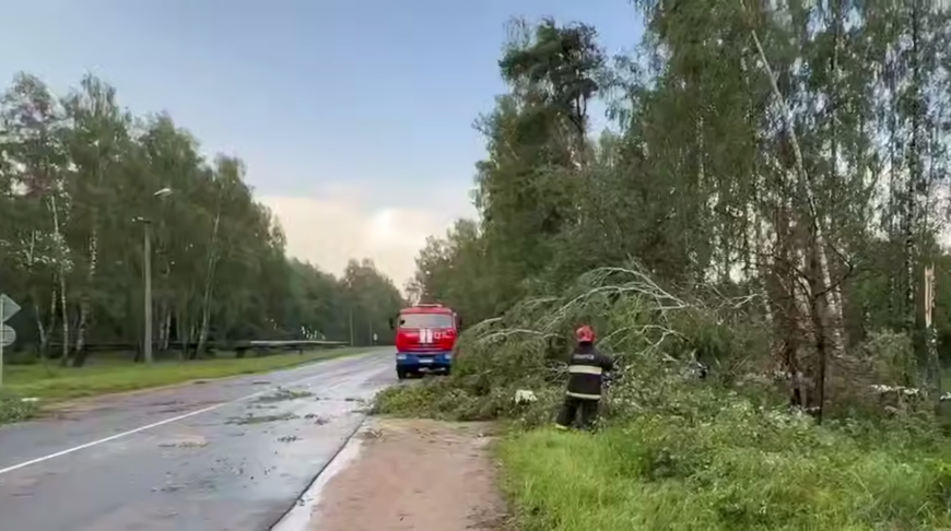 Скриншот видео МЧС