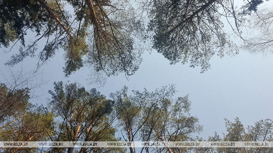 Фото из архива