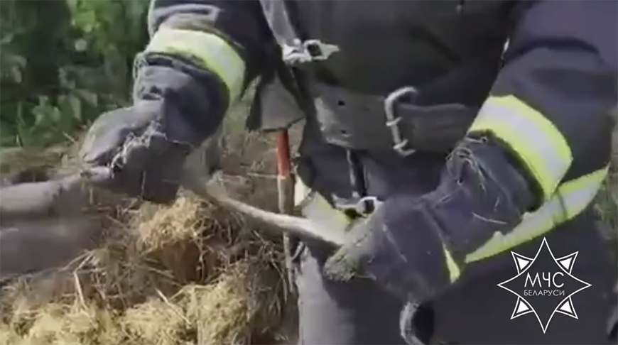 Скриншот видео МЧС