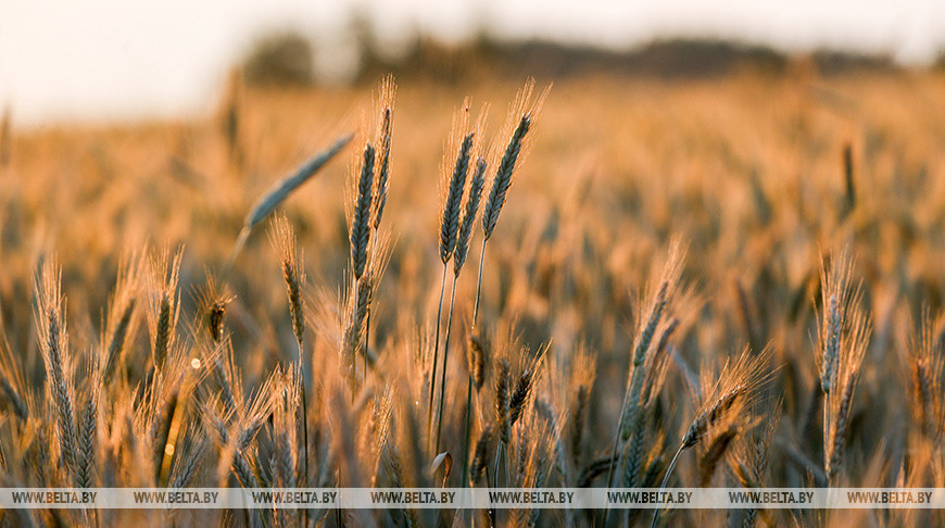 Фото из архива