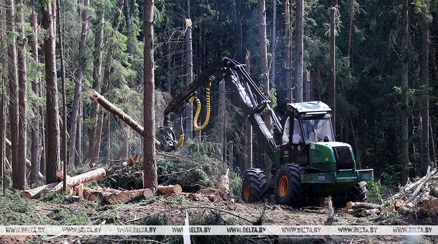 Фото из архива