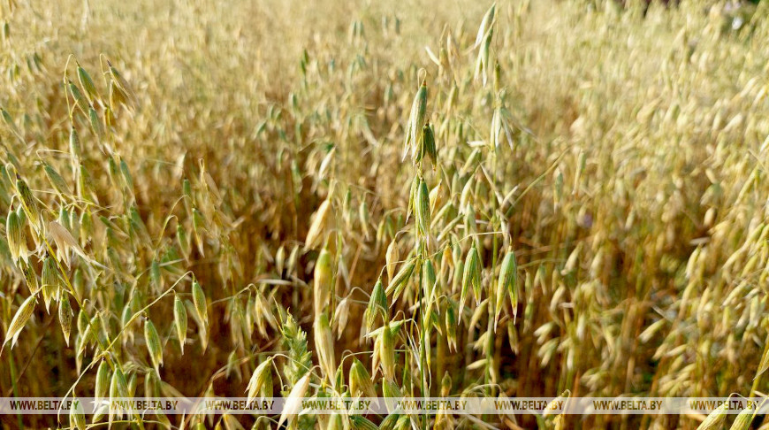 Фото из архива