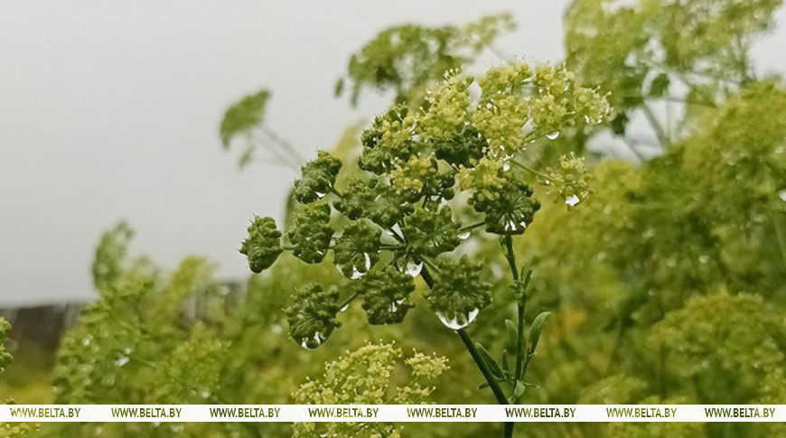 Фото из архива