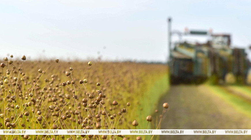 Фото из архива