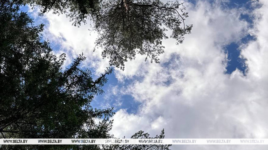 Фото из архива