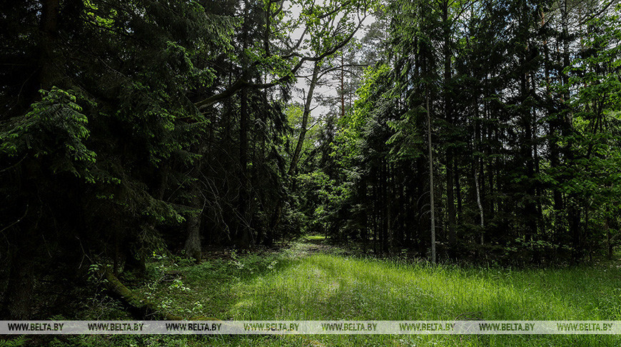 Фото из архива