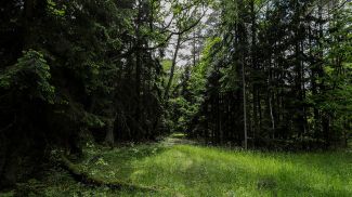 Фото из архива