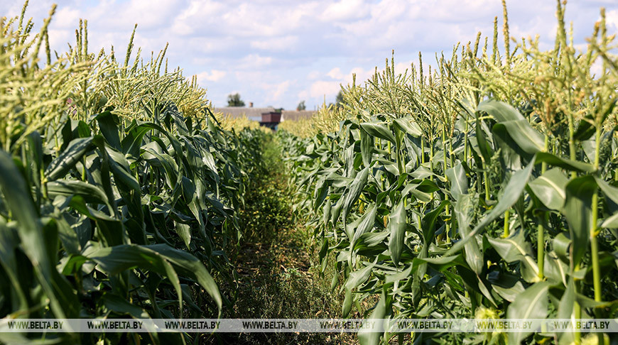Фото из архива