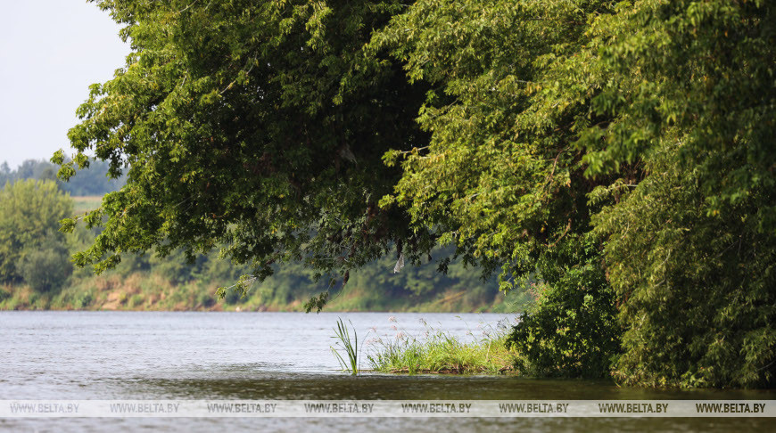 Фото из архива