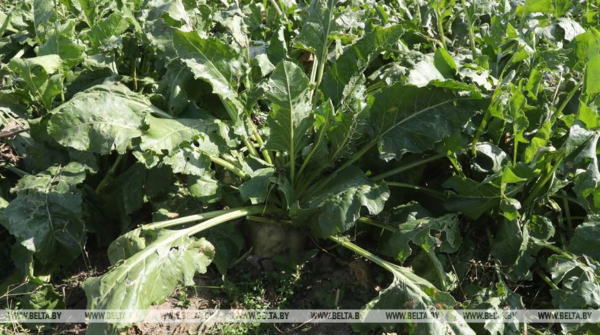 Фото из архива