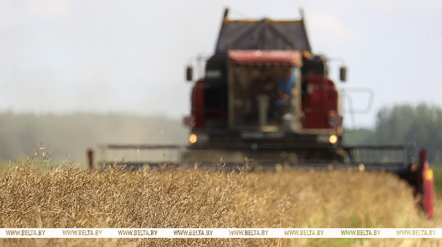 Фото из архива