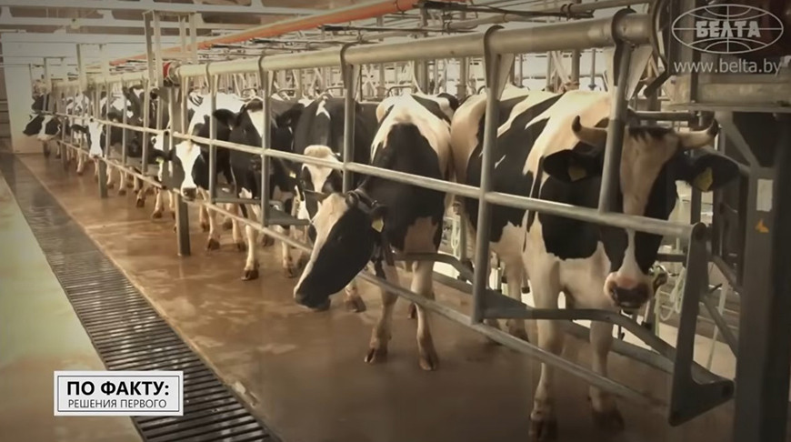 Скриншот видео