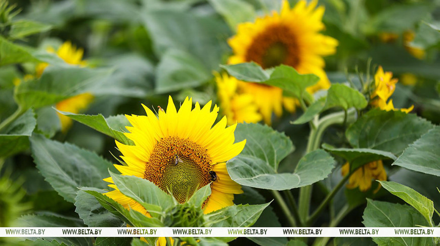 Фото из архива