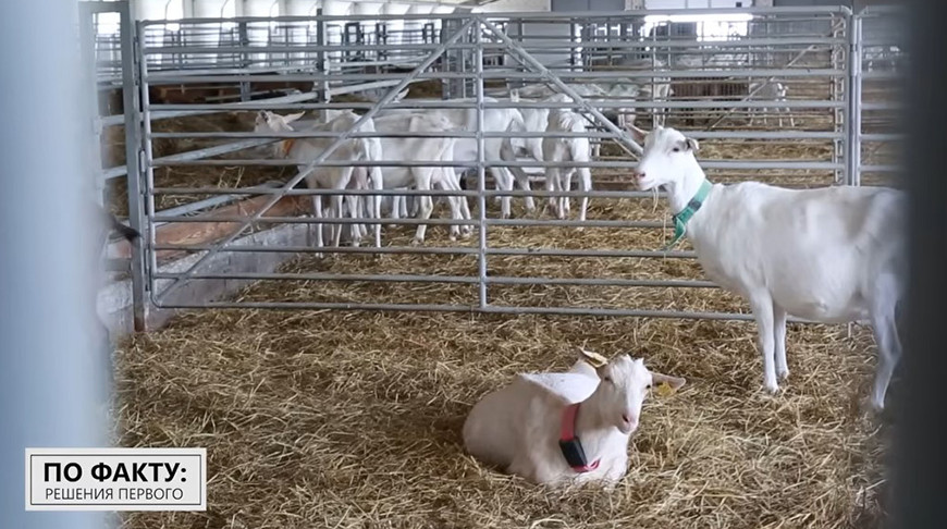 Скриншот видео