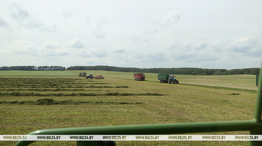 Фото из архива