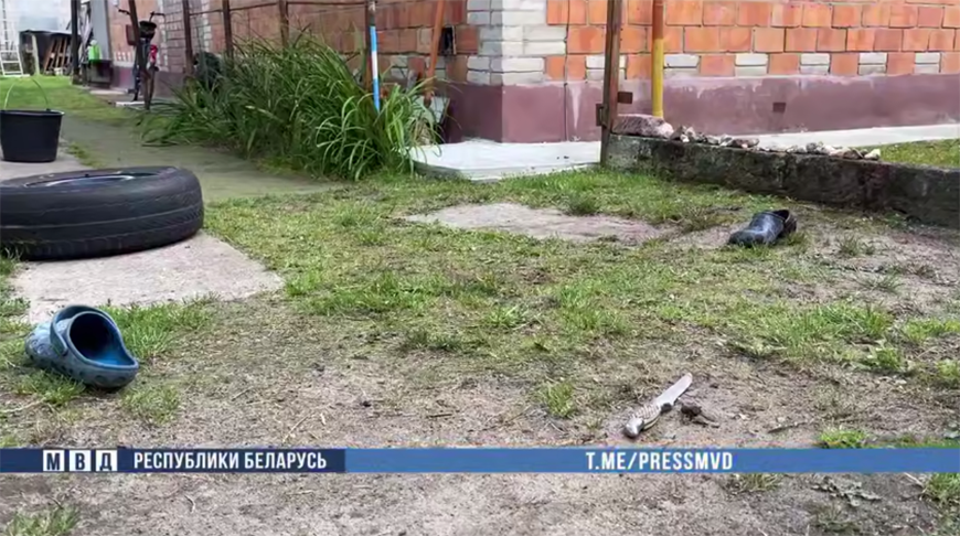 Скриншот видео МВД