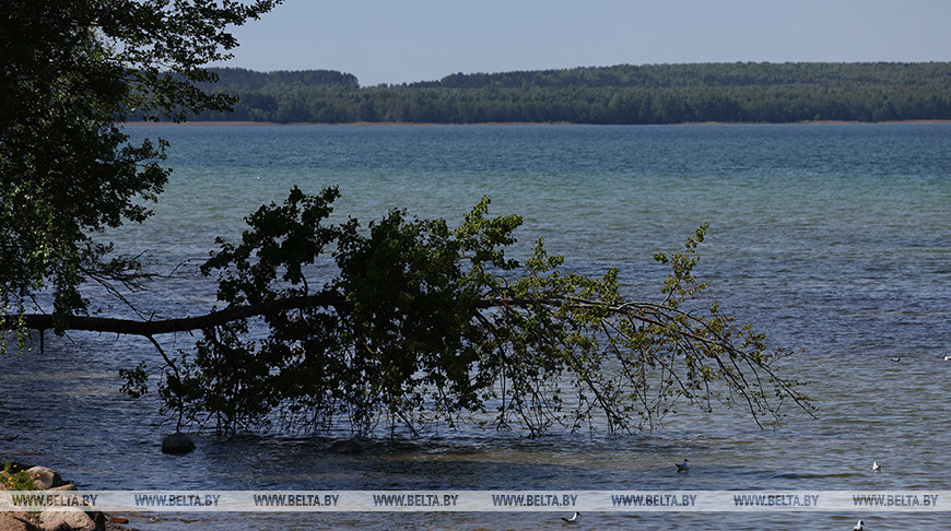 Фото из архива