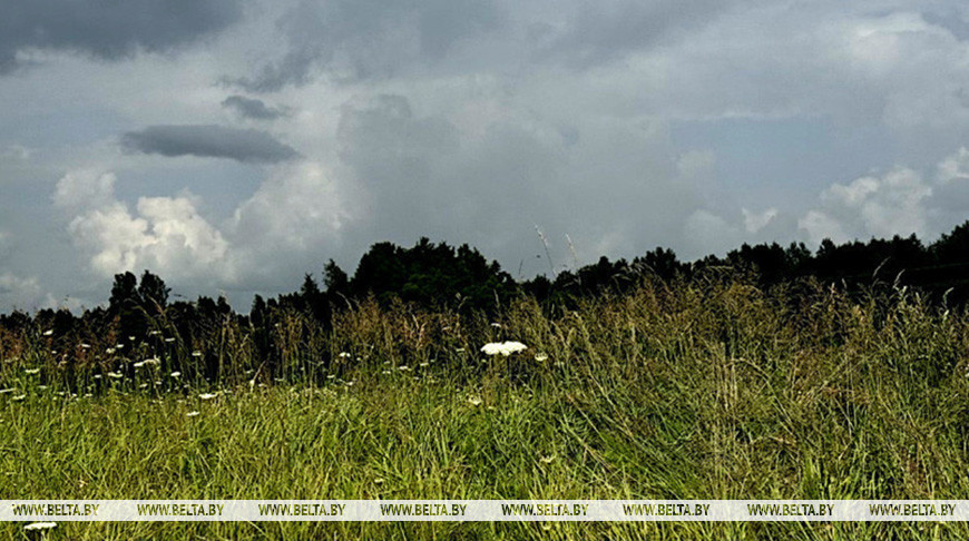 Фото из архива