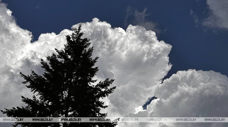 Фото из архива