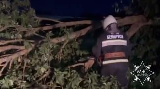 Скриншот видео МЧС