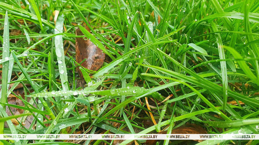 Фото из архива