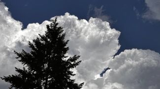 Фото из архива