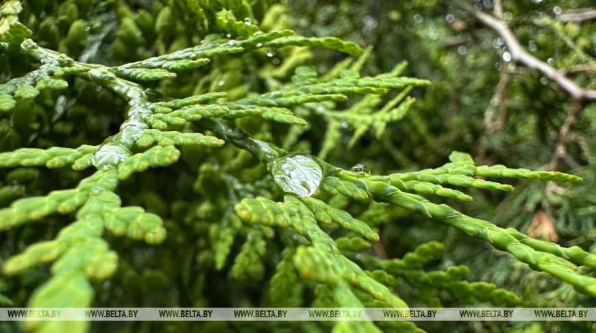 Фото из архива