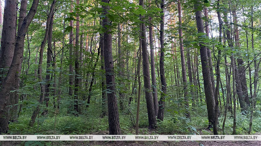 Фото из архива