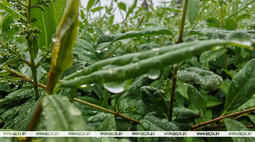 Фото из архива