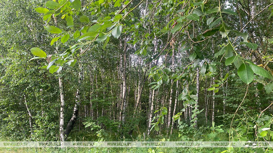 Фото из архива